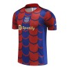 Maillot de Supporter Barcelone Pre-Match 2024-25 Pour Homme